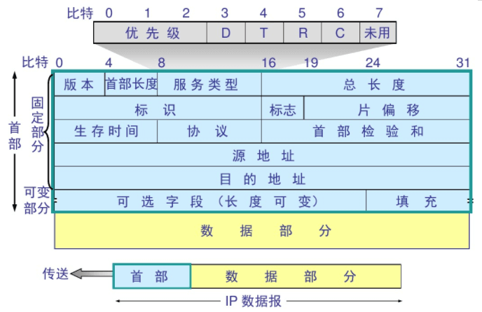 IP 数据报格式